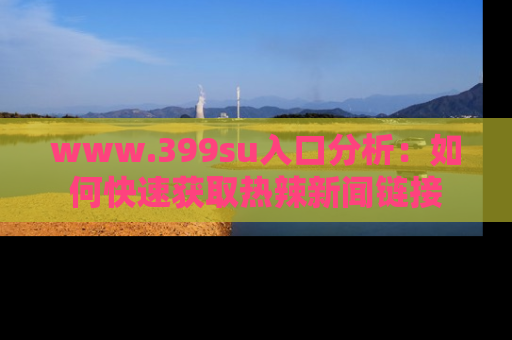www.399su入口分析:如何快速获取热辣新闻链接