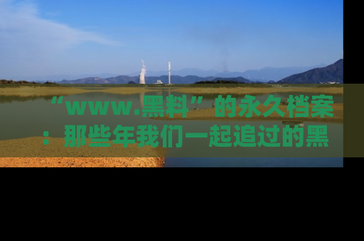 “www.黑料”的永久档案：那些年我们一起追过的黑料真相