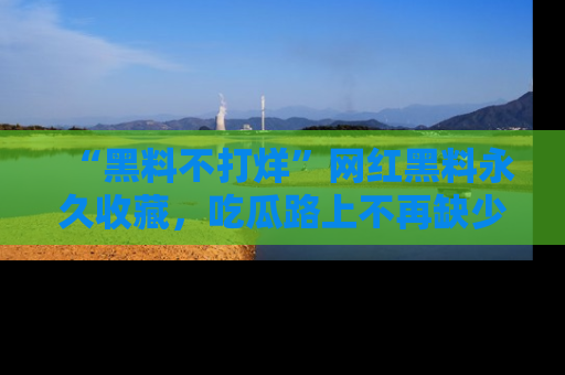 “黑料不打烊”网红黑料永久收藏，吃瓜路上不再缺少惊喜与乐趣