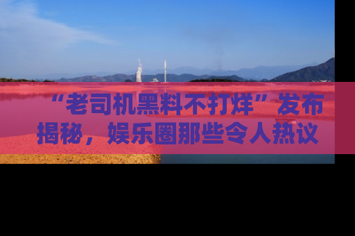 “老司机黑料不打烊”发布揭秘，娱乐圈那些令人热议的黑暗秘密！