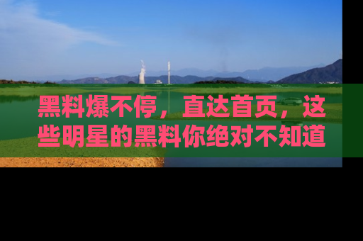 黑料爆不停，直达首页，这些明星的黑料你绝对不知道！