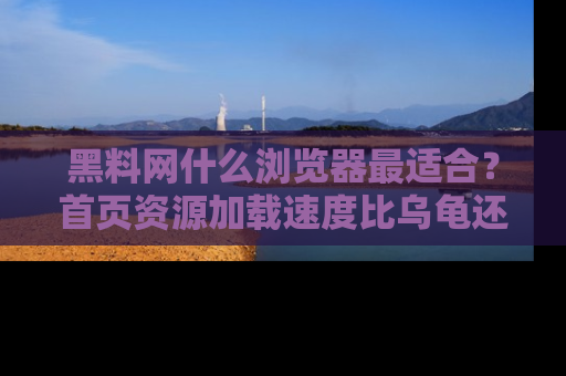 黑料网什么浏览器最适合？首页资源加载速度比乌龟还慢的体验真心吐槽！