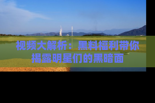视频大解析：黑料福利带你揭露明星们的黑暗面