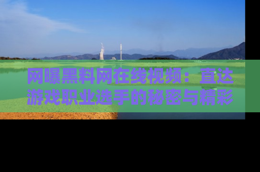 网曝黑料网在线视频：直达游戏职业选手的秘密与精彩动漫片段！