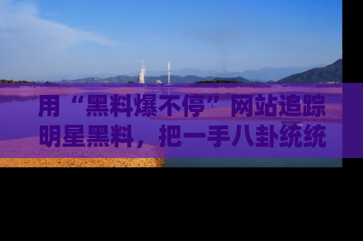 用“黑料爆不停”网站追踪明星黑料，把一手八卦统统收进你的后宫中！