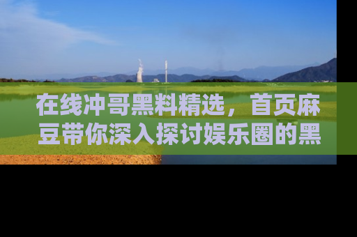 在线冲哥黑料精选,首页麻豆带你深入探讨娱乐圈的黑暗面
