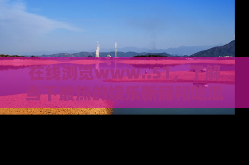 在线浏览www..51,了解当下最热的娱乐新闻和吃瓜话题