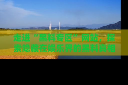 走进“黑料专区”网站,探索隐藏在娱乐界的黑料真相