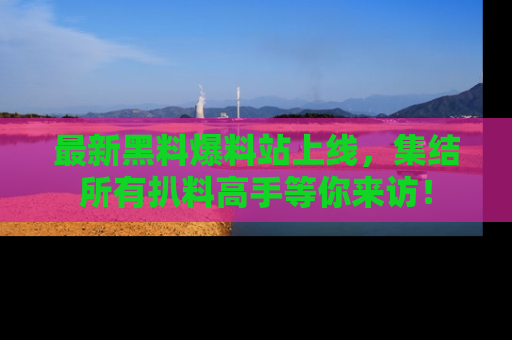 最新黑料爆料站上线,集结所有扒料高手等你来访!