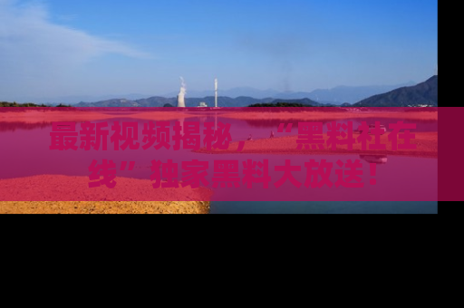 最新视频揭秘,“黑料社在线”独家黑料大放送!